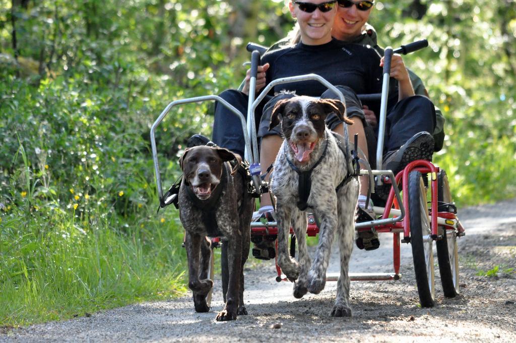 Birkelund Camping Geilo Kültér fotó