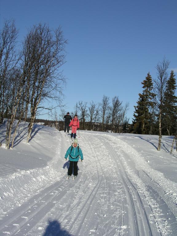 Birkelund Camping Geilo Kültér fotó