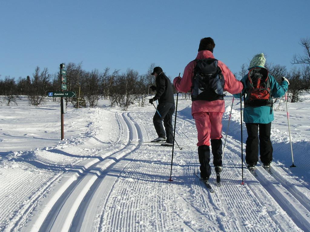 Birkelund Camping Geilo Kültér fotó