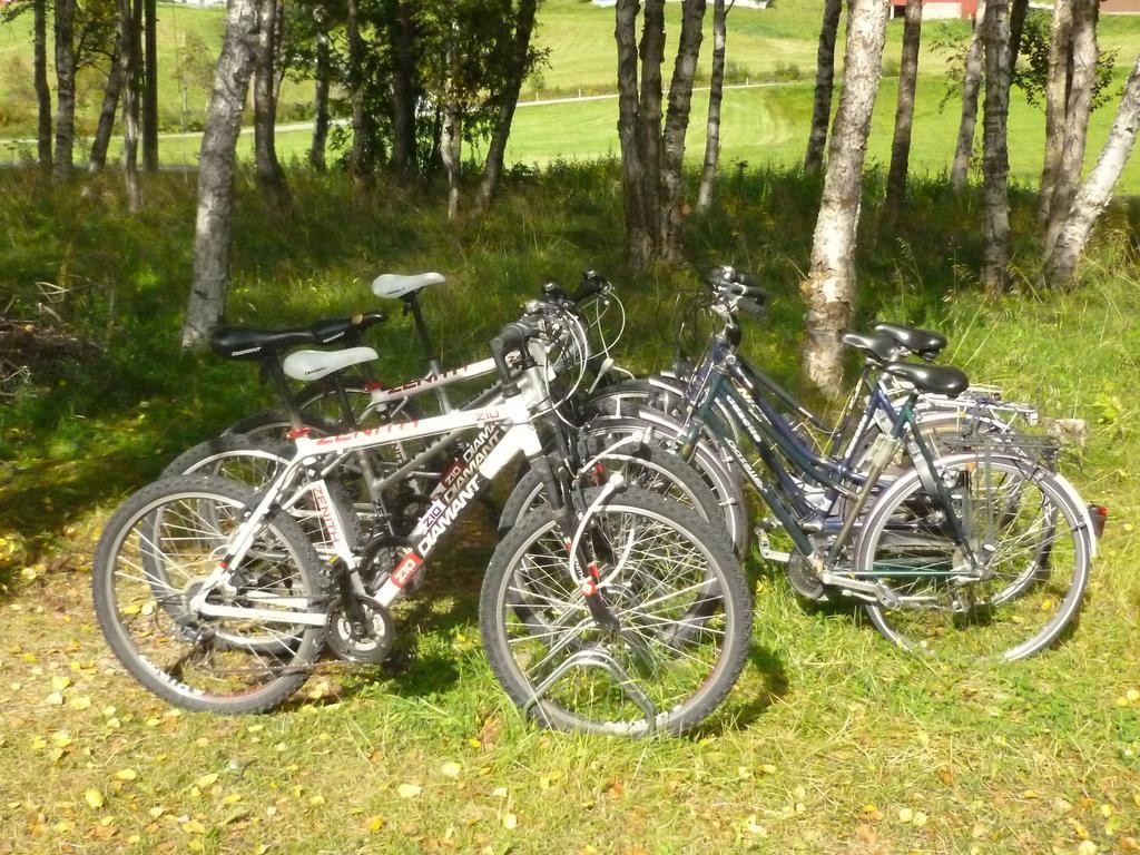 Birkelund Camping Geilo Kültér fotó